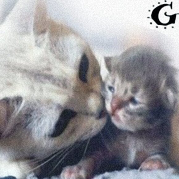 12x18 Be Munificent Fantasy Composite Creative Wall Art Print - Picture 3 of 6